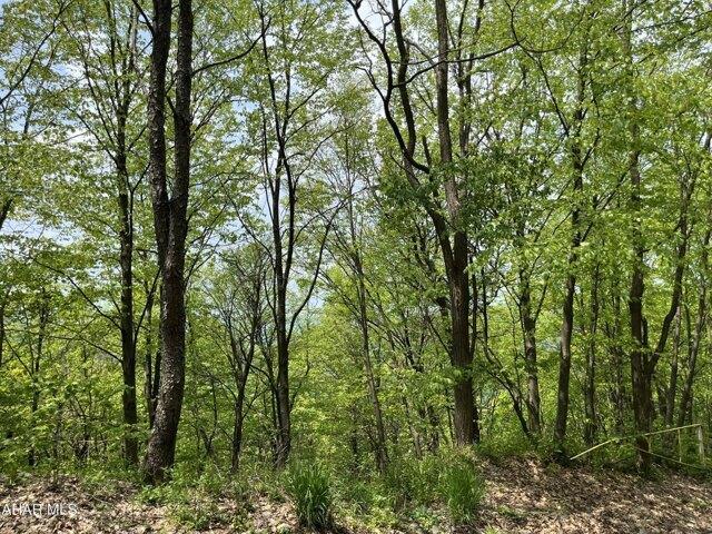 Land for sale in Blair, Pennsylvania