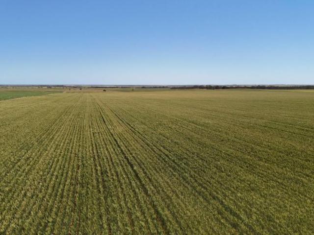 Land for sale in Clements Gap, Barunga West Council