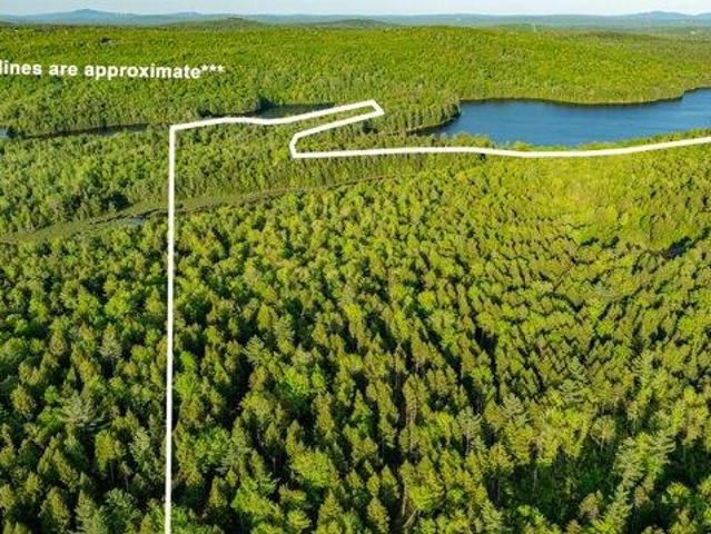 Land for sale in East Eddington, Eddington