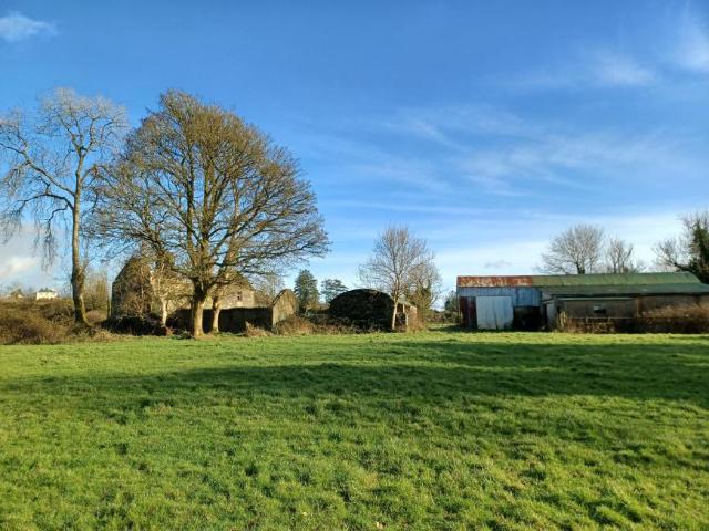 Land for sale in Longford, North Tipperary
