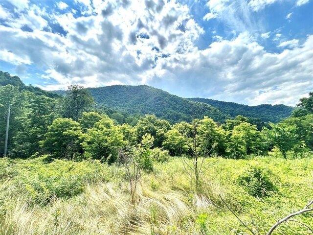 Land for sale in Clyde, North Carolina