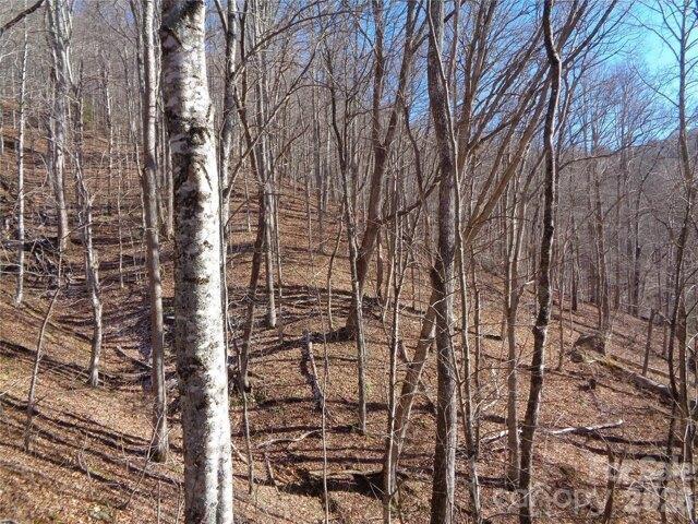 Land for sale in Haywood, North Carolina