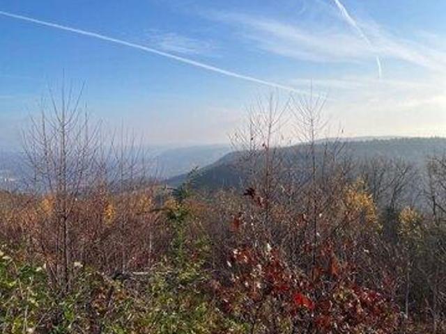 Land for sale in Middleburgh, New York