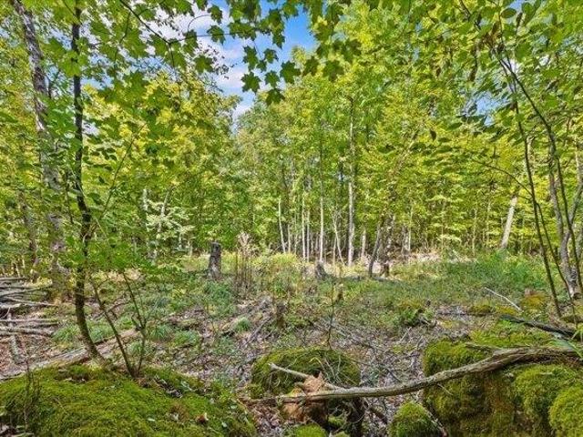 Land for sale in Colchester, Vermont
