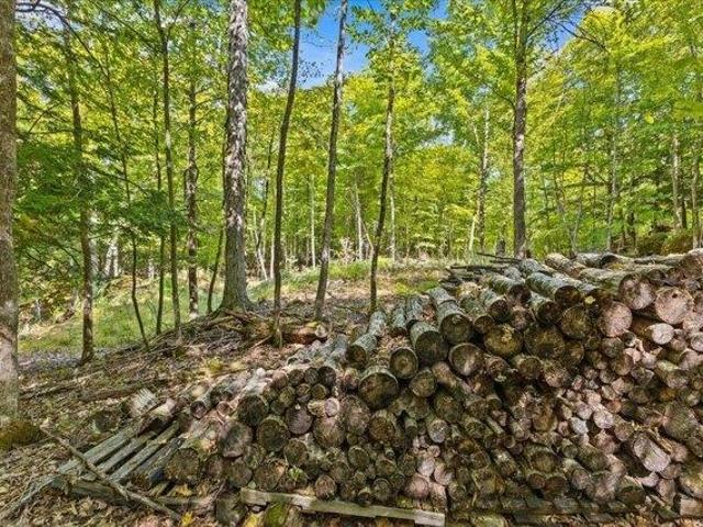 Land for sale in Colchester, Chittenden County