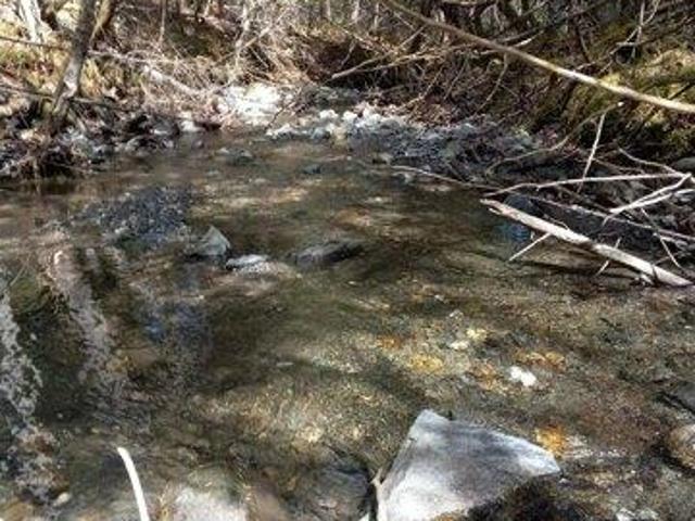 Land for sale in Colebrook, Coös County