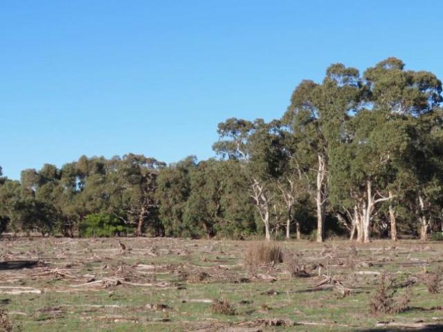 Land for rent in Coles, South Australia