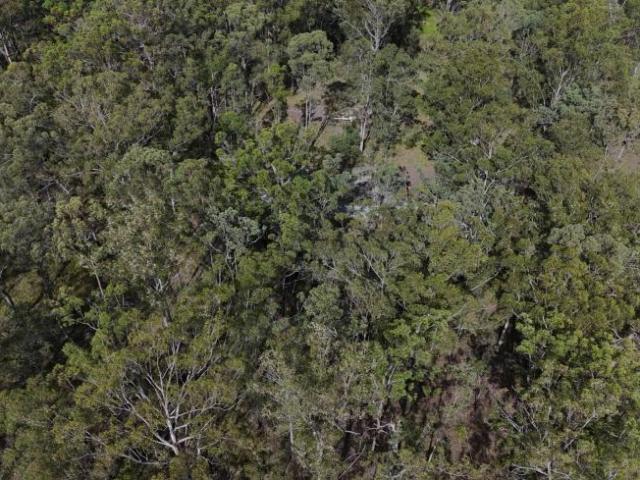 Land for sale in Greenhill, New South Wales
