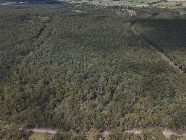 Land for sale in Greenhill, New South Wales