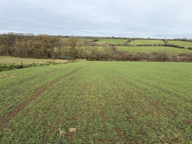 Land for sale in Brandis Corner, Devon