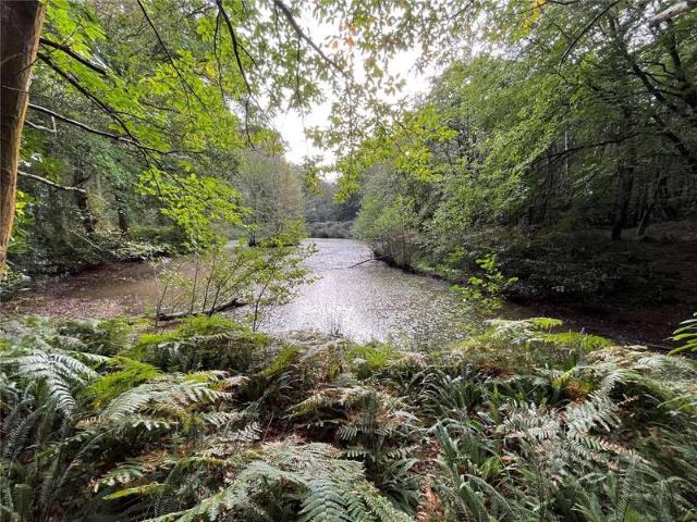 Land for sale in Hadlow Down, Cross In Hand