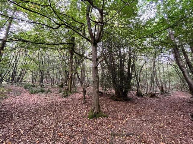 Land for sale in Hadlow Down, Cross In Hand