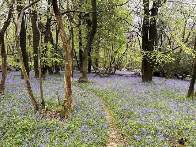 Land for sale in Hadlow Down, Cross In Hand