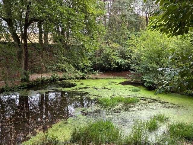 Land for sale in Upper Cumberworth, West Yorkshire