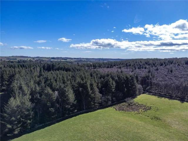 Land for sale in Scotland