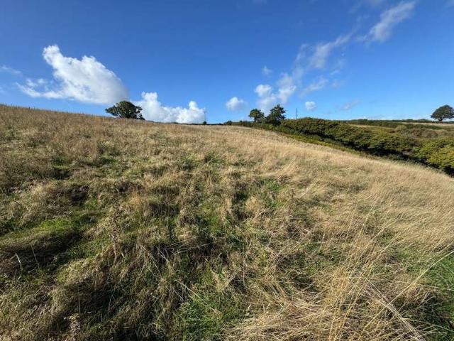 Land for sale in Combeinteignhead, Teignbridge