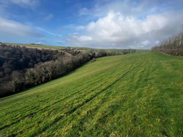 Land for sale in Strode, Devon