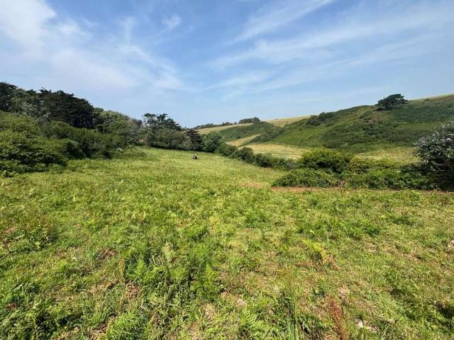 Land for sale in Strode, Devon