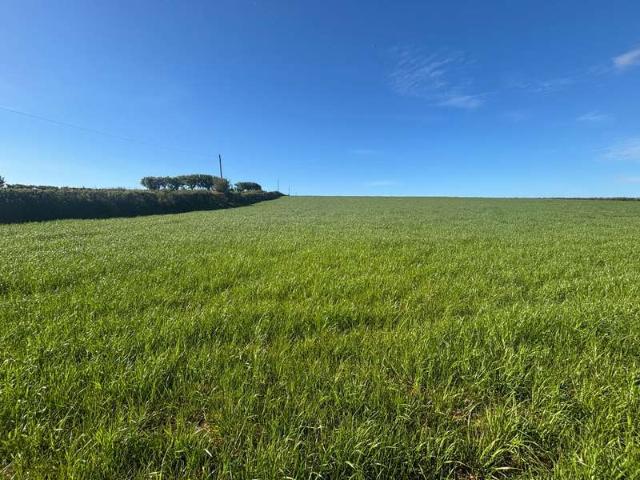 Land for sale in Strode, Devon
