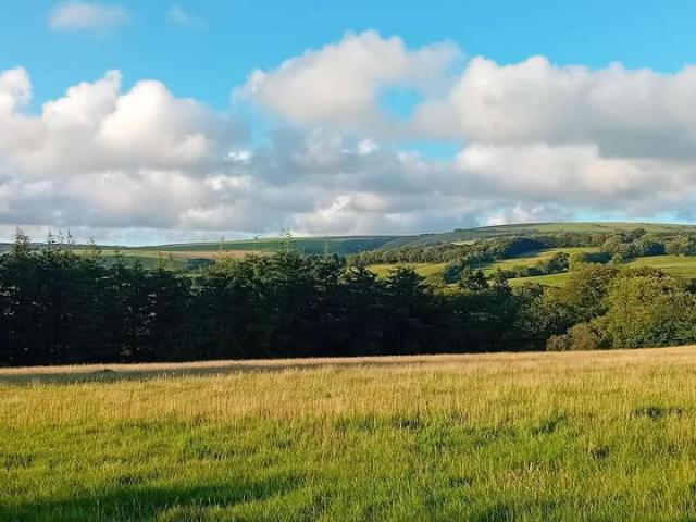 Land for sale in Kentisbury, Devon