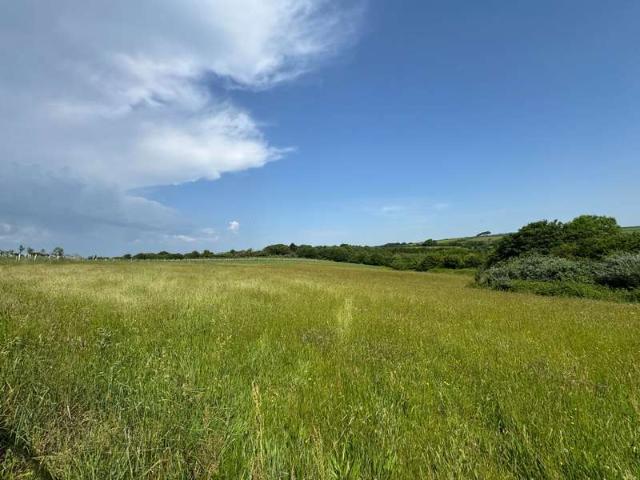 Land for sale in Strode, Devon