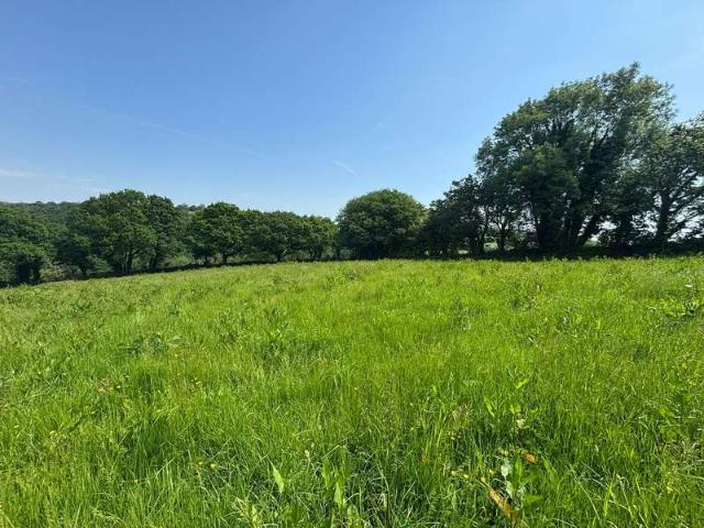 Land for sale in Strode, Devon