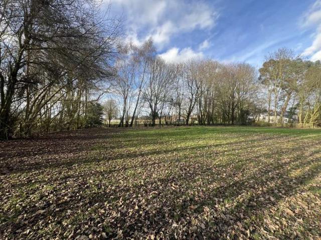 Land for sale in Chelmondiston, Suffolk
