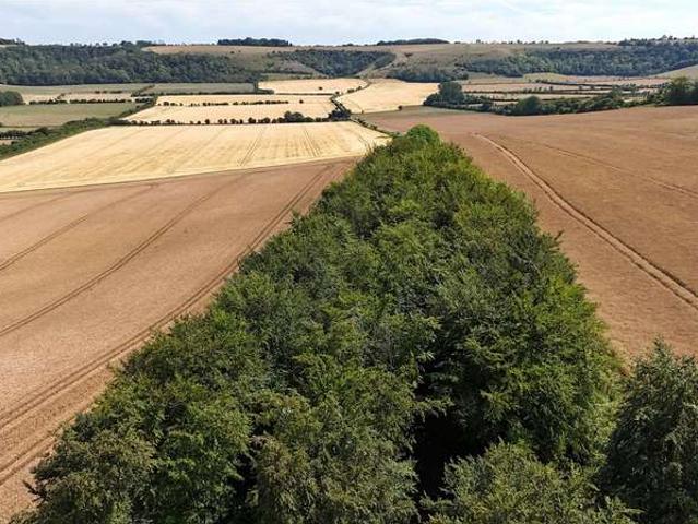 Land for sale in Wiltshire