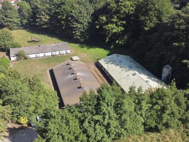 Land for sale in Wymondham, Burgh St Peter