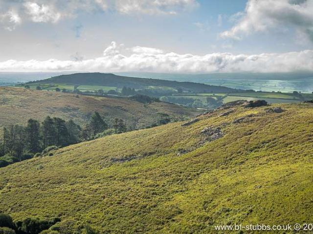 Land for sale in Strode, Devon