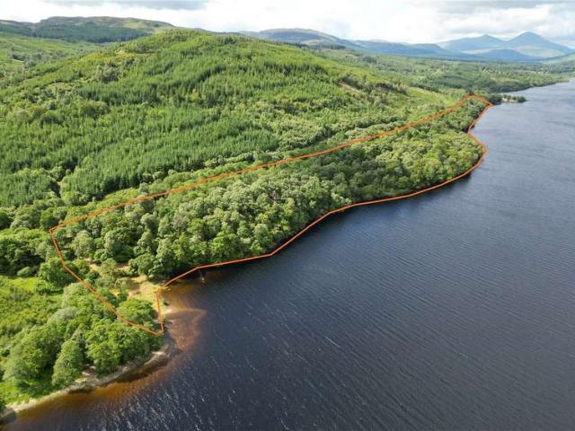 Land for sale in Ardeonaig, Scotland
