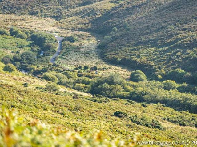 Land for sale in Strode, Devon
