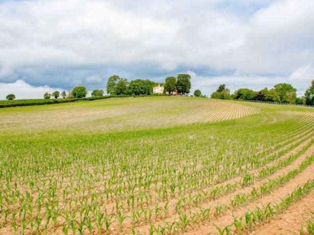 Land for sale in Exton, Budlake