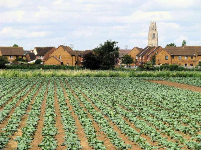 Land for sale in Bladon Estate, Boston