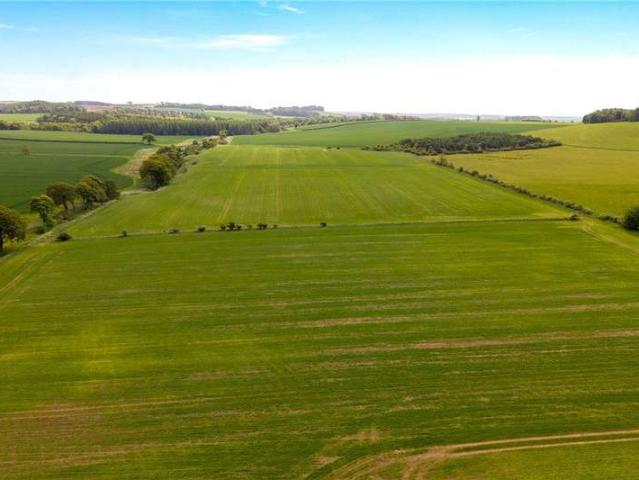 Land for sale in Largoward, Scotland