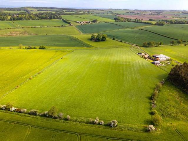 Land for sale in Largoward, Scotland