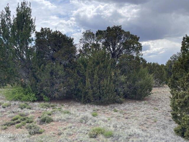 Land for sale in Arizona