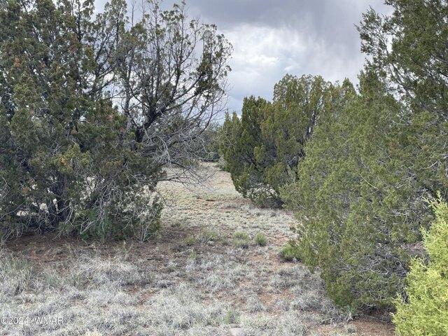 Land for sale in Arizona