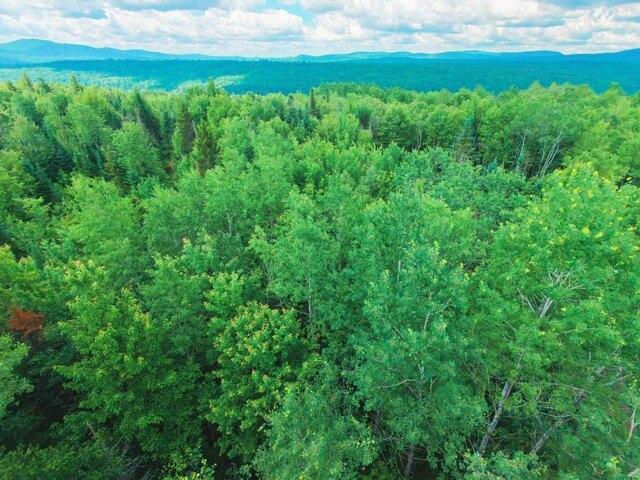 Land for sale in Concord, Vermont