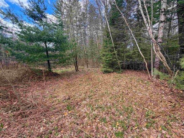 Land for sale in Concord, Vermont