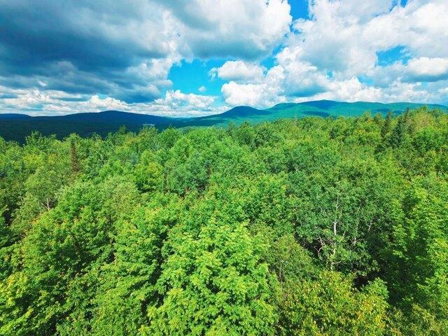 Land for sale in Concord, Vermont