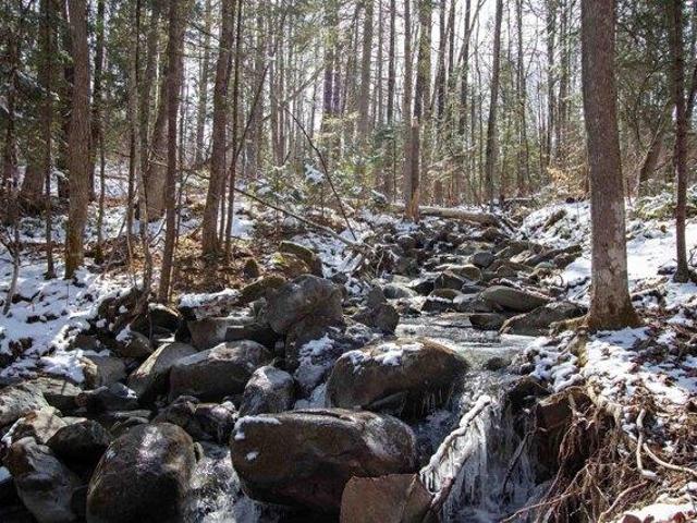 Land for sale in Concord, Vermont