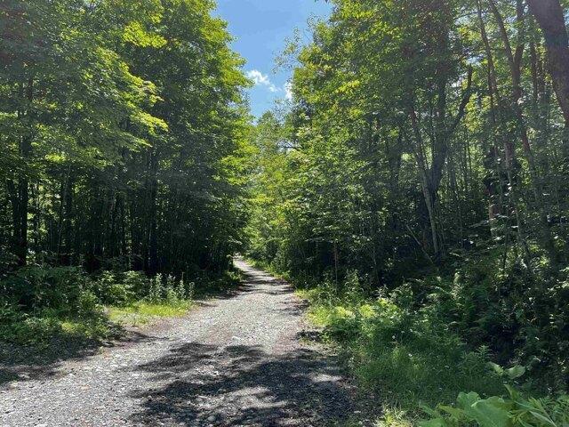 Land for sale in Concord, Vermont