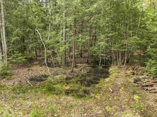 Land for sale in New Hampshire