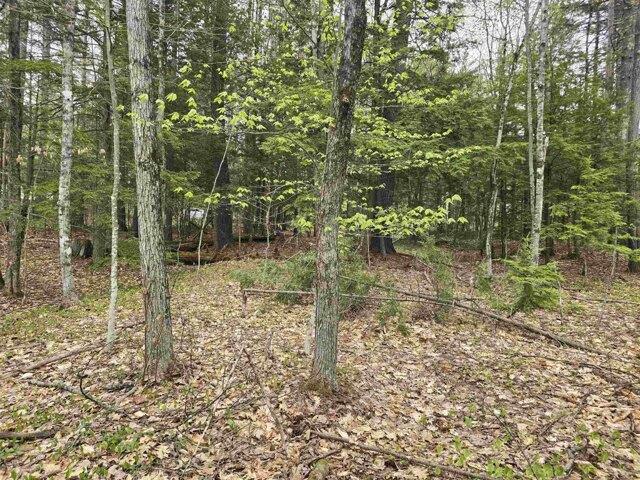Land for sale in New Hampshire