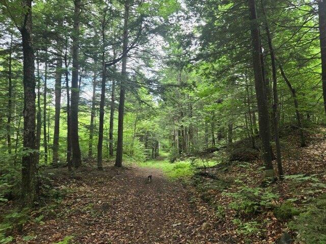 Land for sale in New Hampshire
