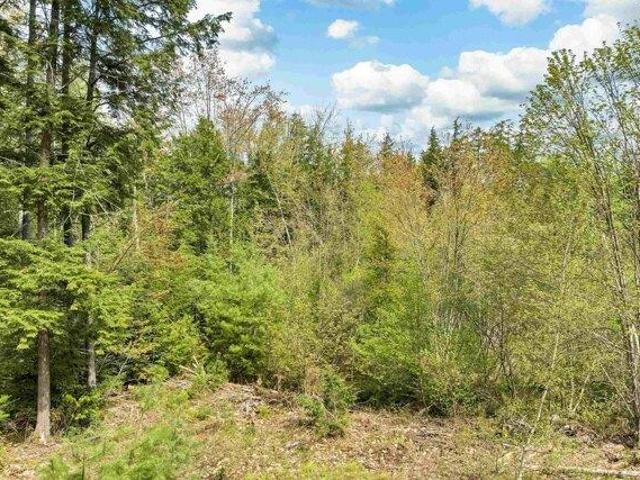 Land for sale in New Hampshire