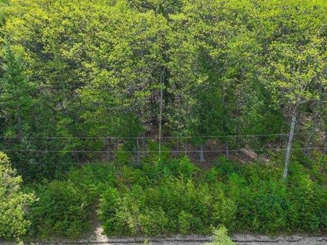 Land for sale in Conway, Carroll County