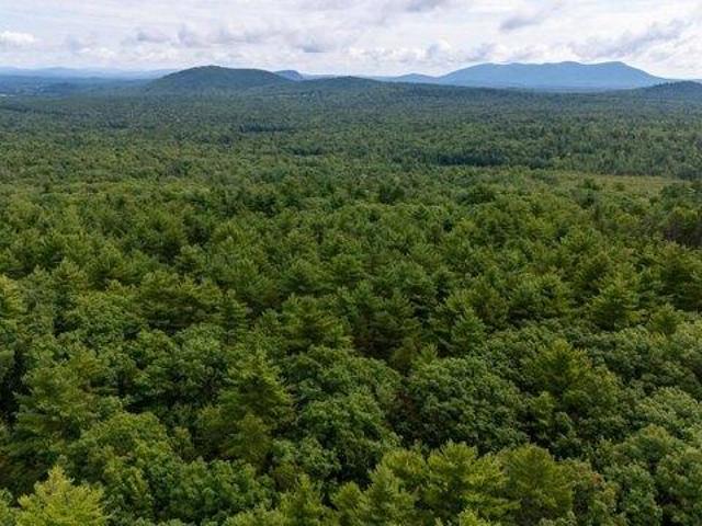 Land for sale in South Conway, Conway