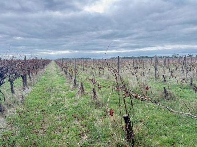 Land for rent in Coonawarra, South Australia